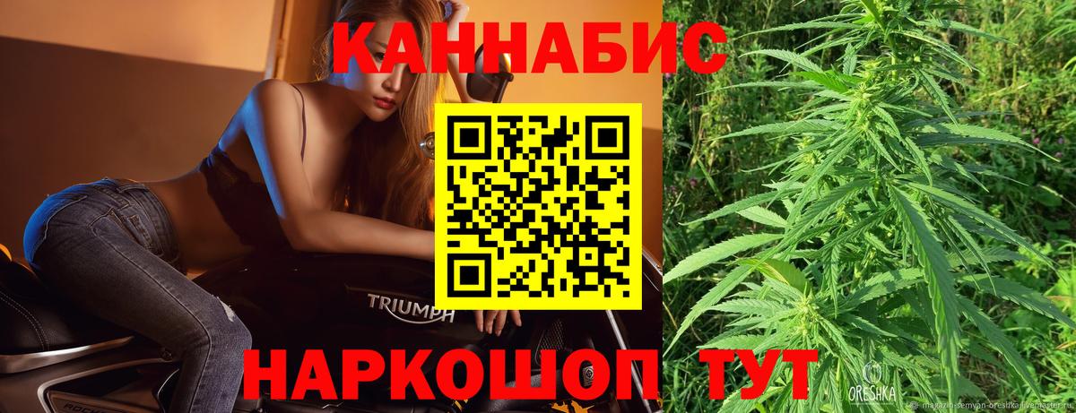 Бошки Шишки White Widow  Бошки Шишки план  Вход с VPN  Клинцы  Канабис тримм 